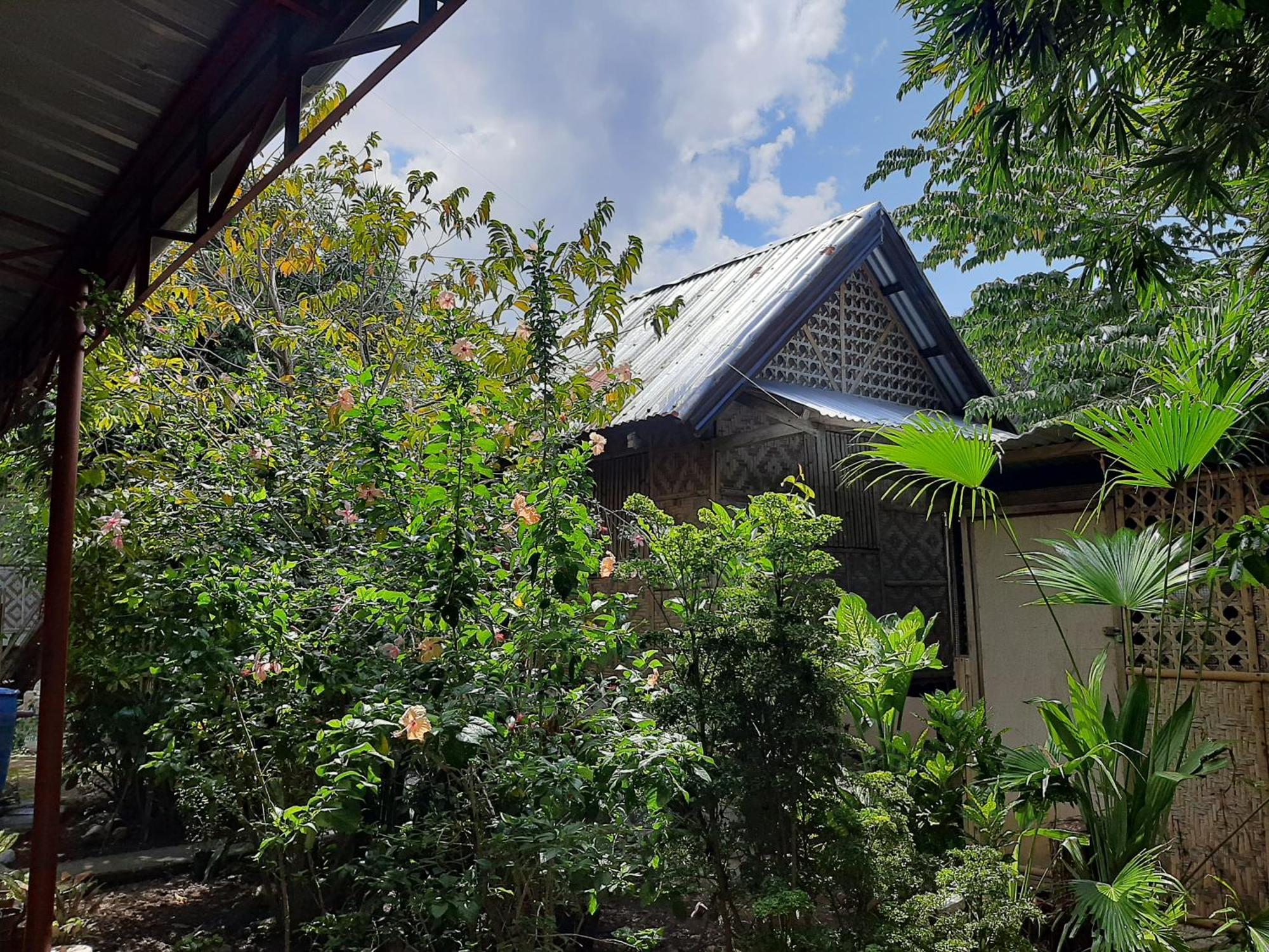 Alimpay Foresters Apartment Panglao Eksteriør bilde