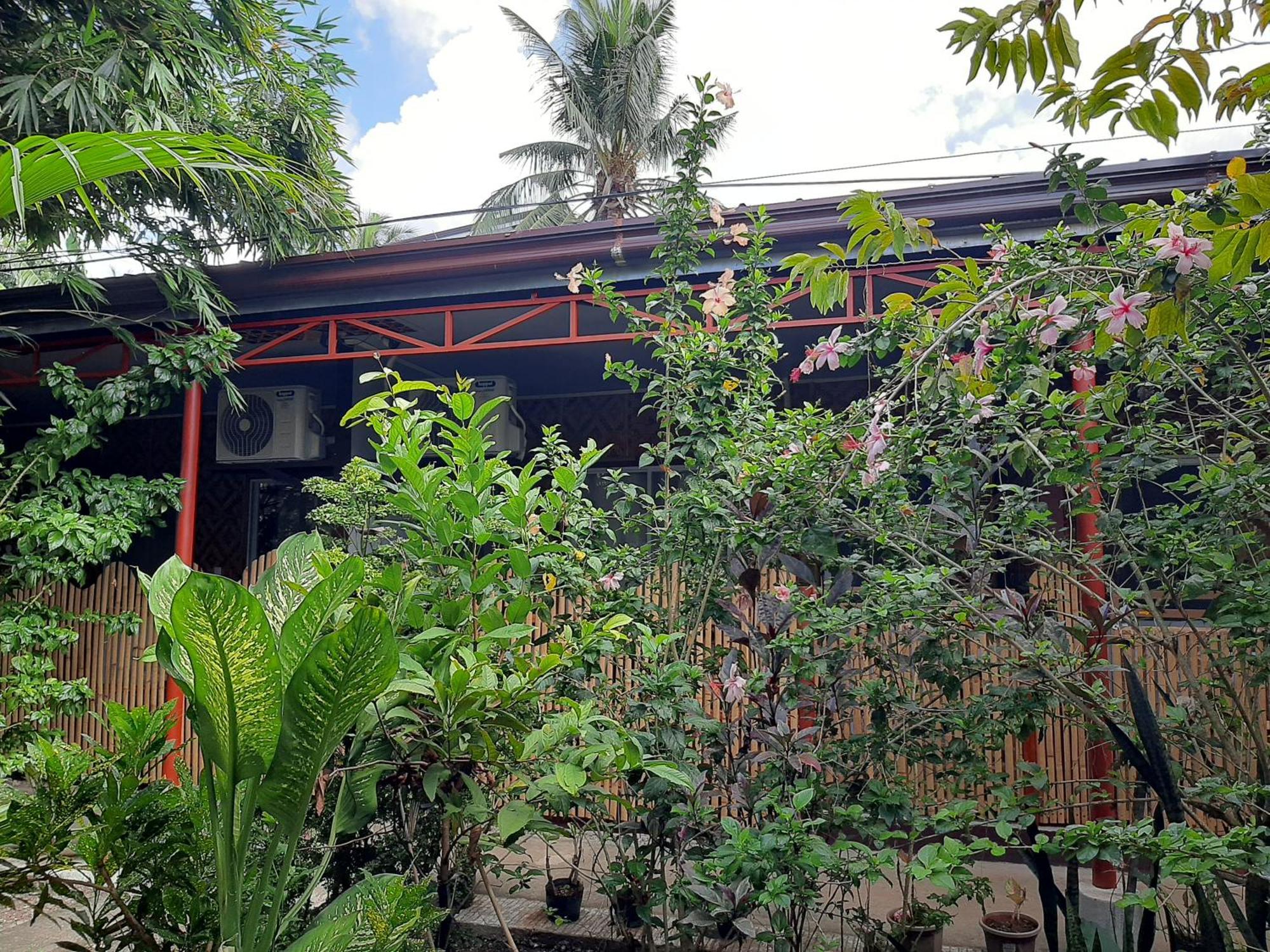 Alimpay Foresters Apartment Panglao Eksteriør bilde