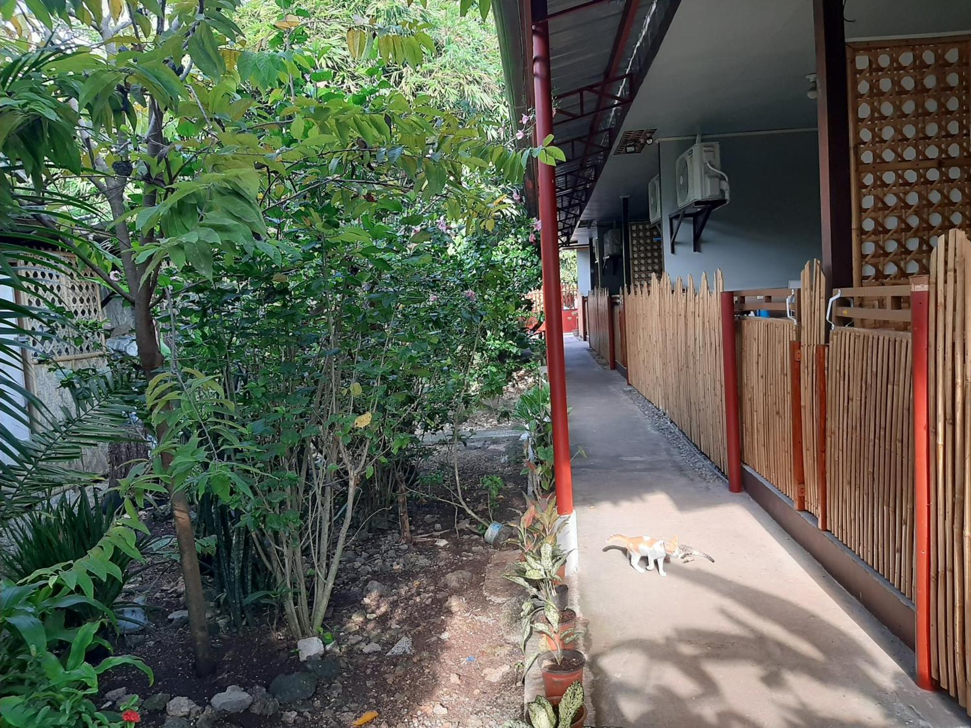 Alimpay Foresters Apartment Panglao Eksteriør bilde